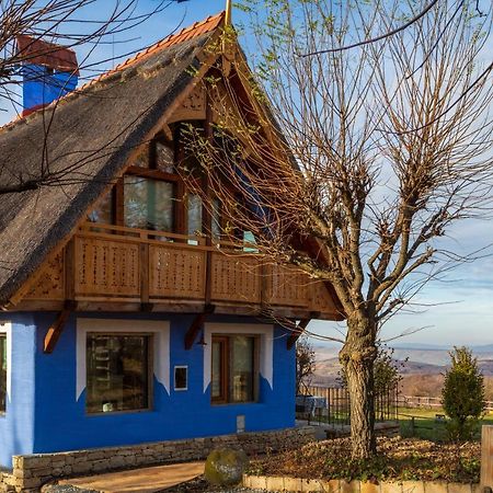 Casele Cu Stuf B&B Haus Ulrike Sălicea 외부 사진