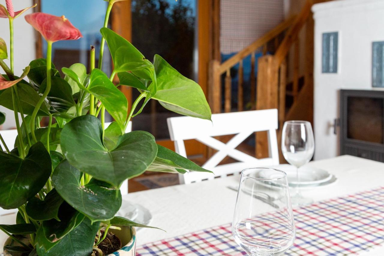 Casele Cu Stuf B&B Haus Ulrike Sălicea 외부 사진
