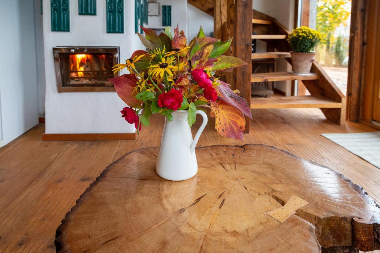 Casele Cu Stuf B&B Haus Ulrike Sălicea 외부 사진
