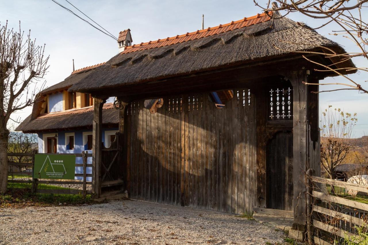 Casele Cu Stuf B&B Haus Ulrike Sălicea 외부 사진