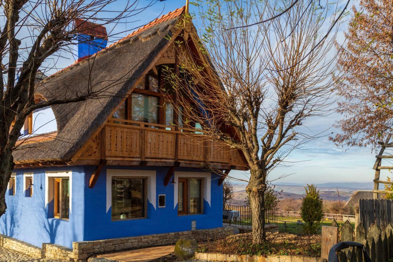 Casele Cu Stuf B&B Haus Ulrike Sălicea 외부 사진