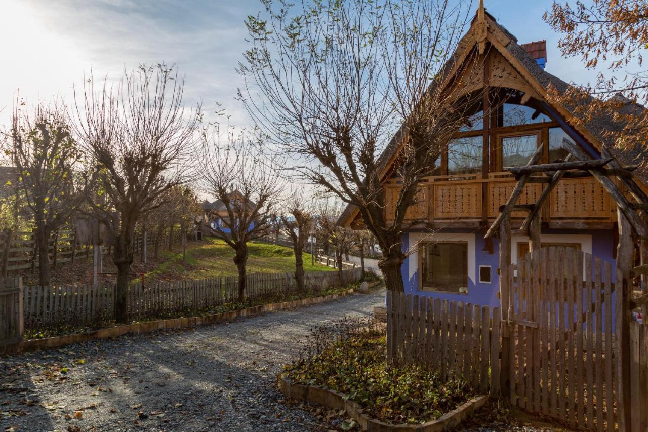 Casele Cu Stuf B&B Haus Ulrike Sălicea 외부 사진