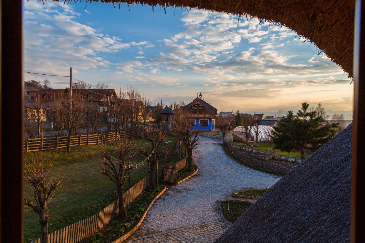 Casele Cu Stuf B&B Haus Ulrike Sălicea 외부 사진