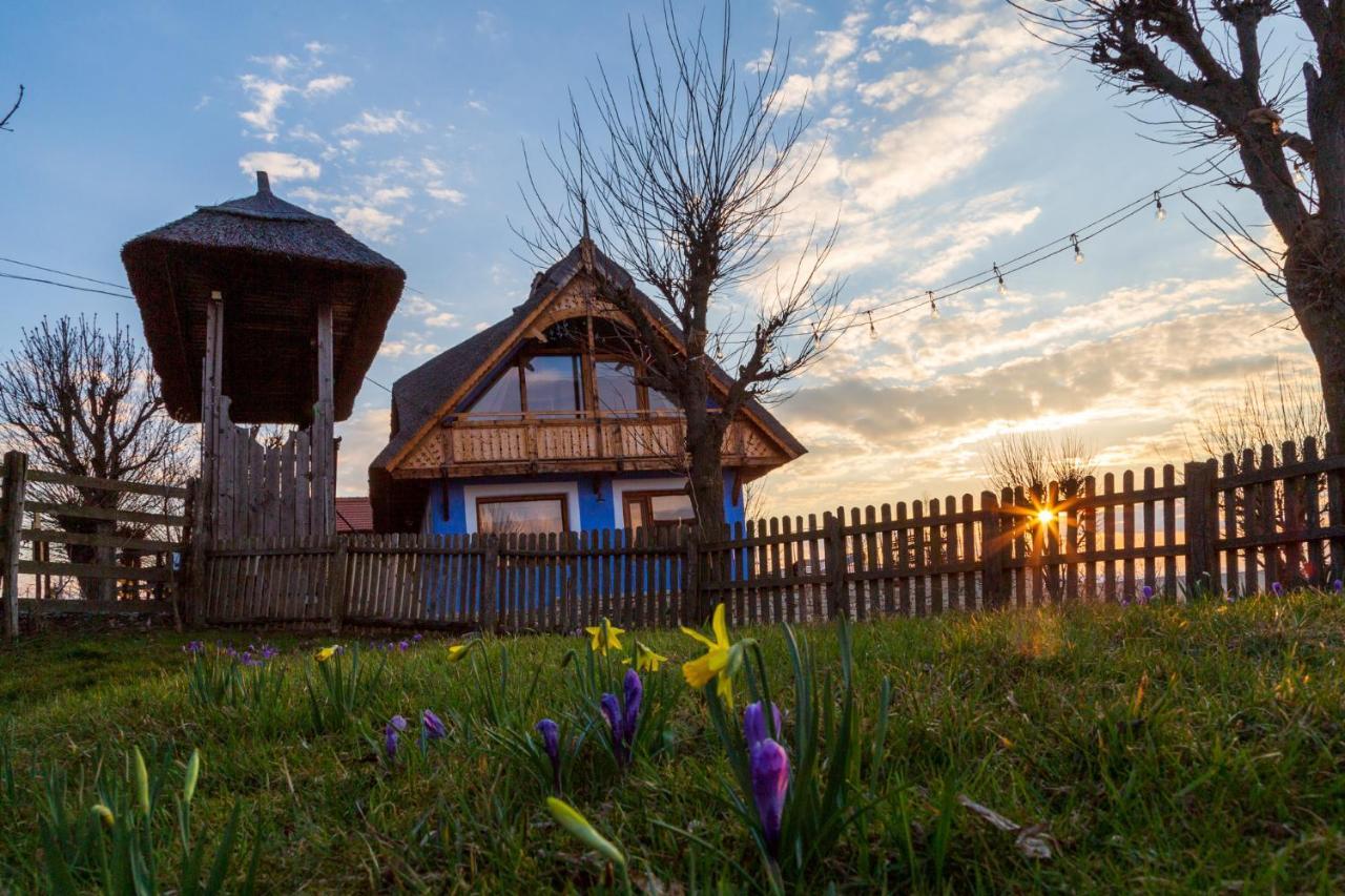 Casele Cu Stuf B&B Haus Ulrike Sălicea 외부 사진