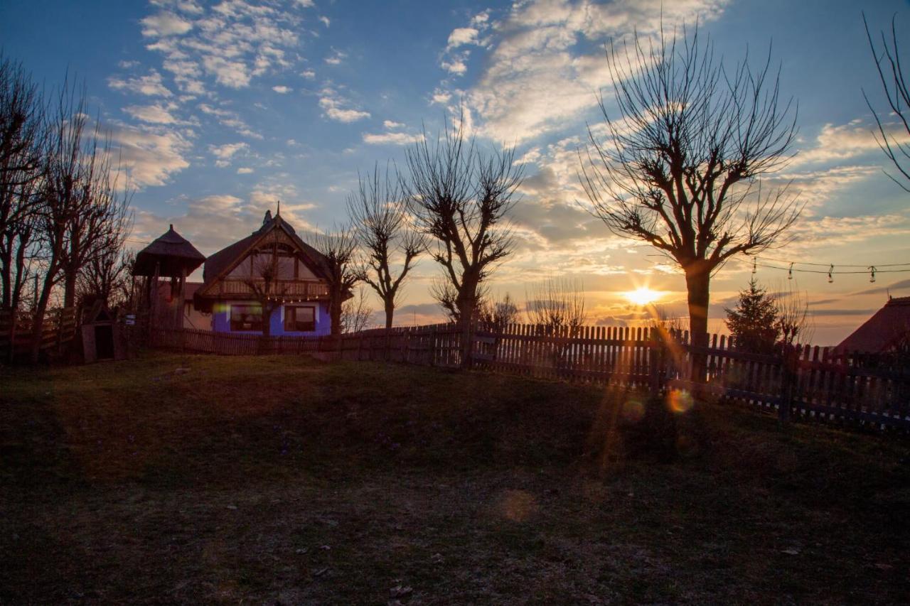 Casele Cu Stuf B&B Haus Ulrike Sălicea 외부 사진
