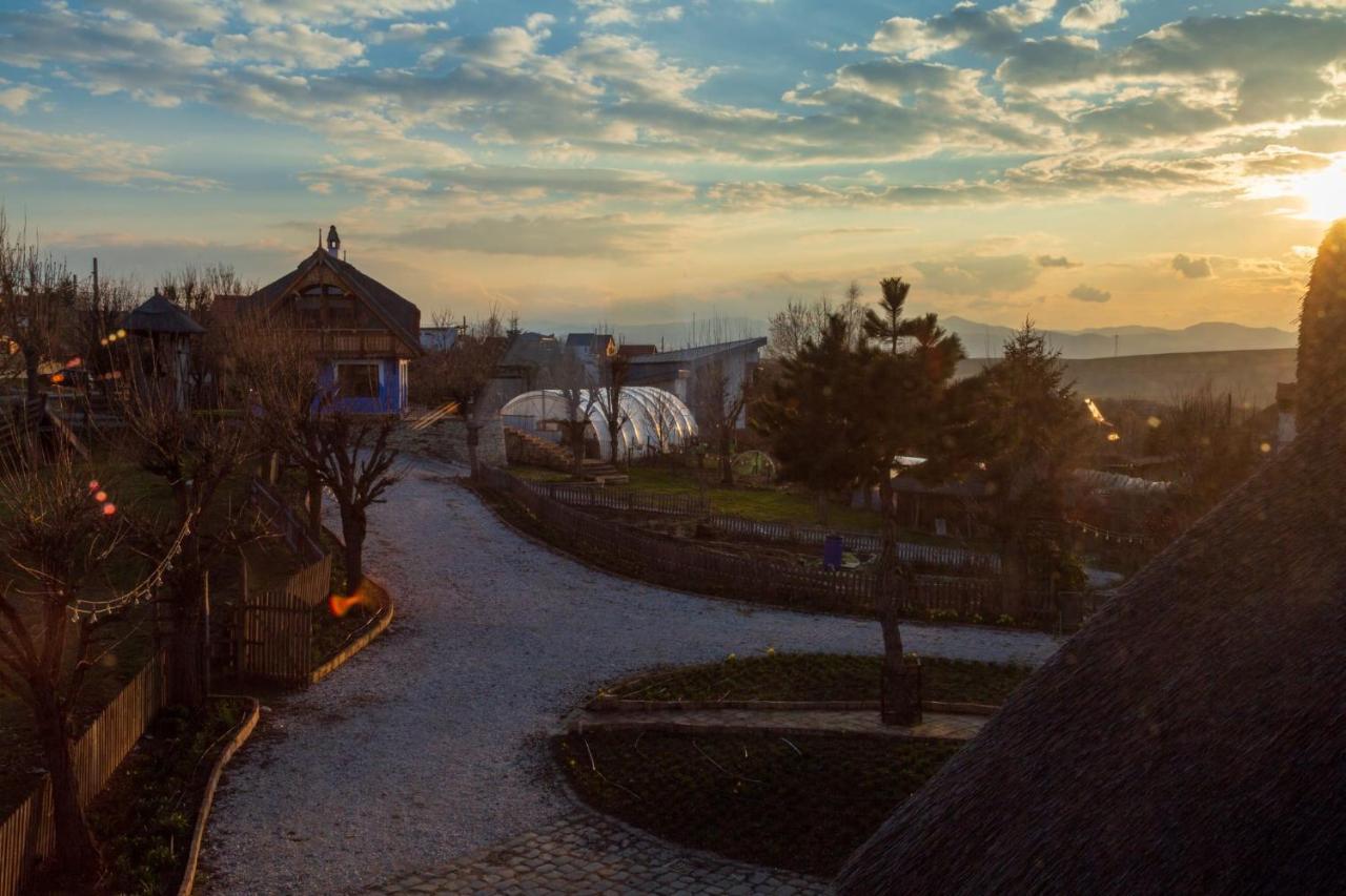Casele Cu Stuf B&B Haus Ulrike Sălicea 외부 사진