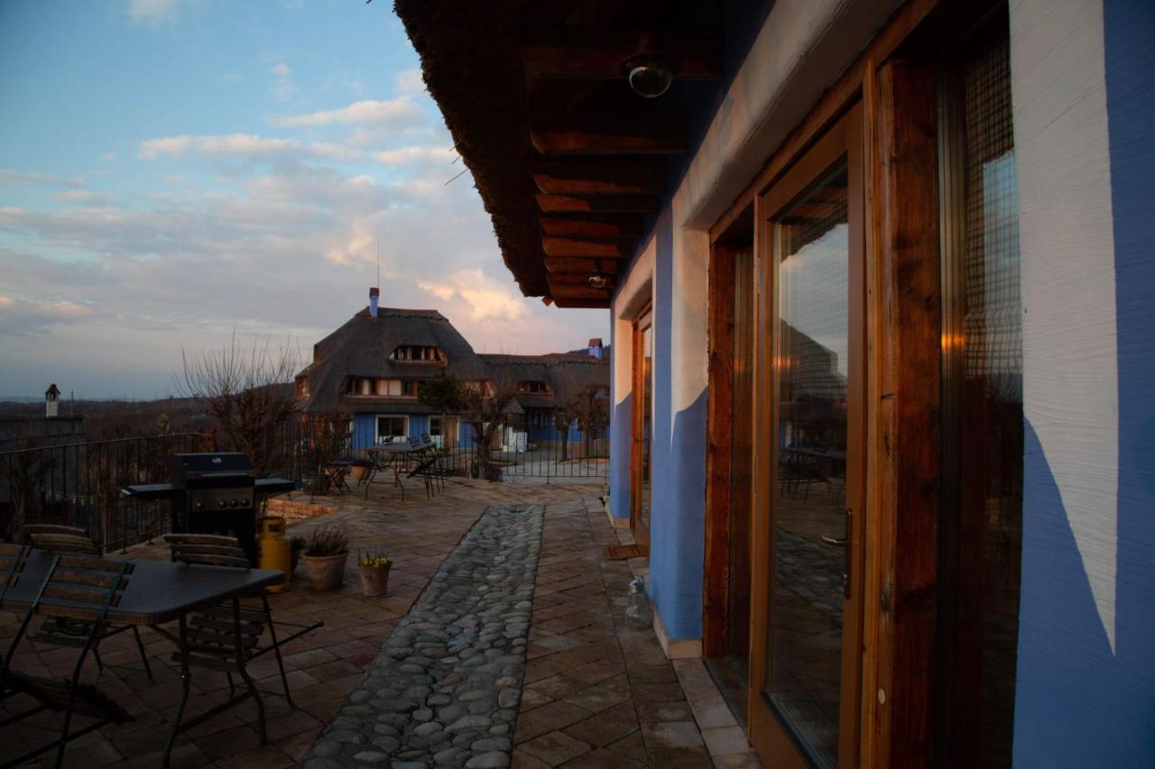 Casele Cu Stuf B&B Haus Ulrike Sălicea 외부 사진