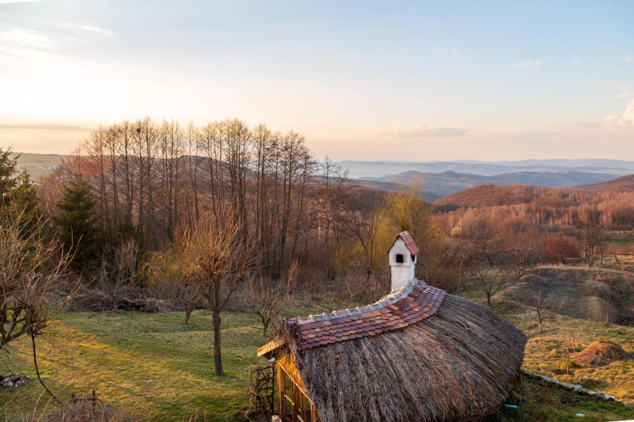 Casele Cu Stuf B&B Haus Ulrike Sălicea 외부 사진