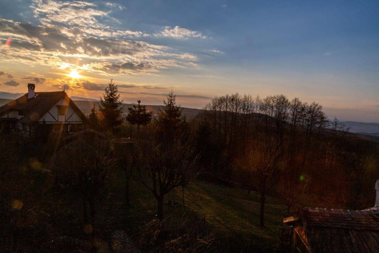 Casele Cu Stuf B&B Haus Ulrike Sălicea 외부 사진