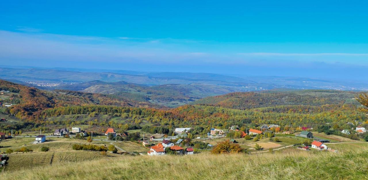 Casele Cu Stuf B&B Haus Ulrike Sălicea 외부 사진