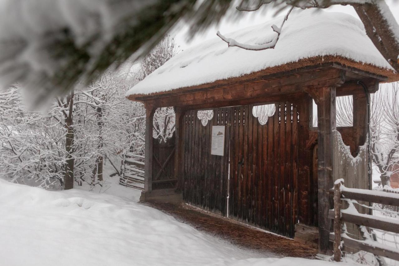 Casele Cu Stuf B&B Haus Ulrike Sălicea 외부 사진