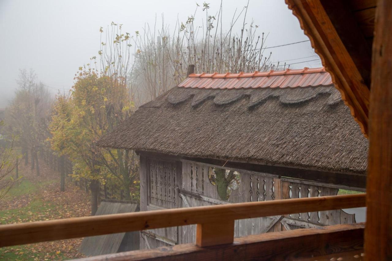 Casele Cu Stuf B&B Haus Ulrike Sălicea 외부 사진