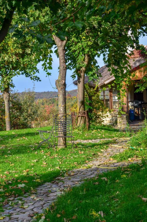 Casele Cu Stuf B&B Haus Ulrike Sălicea 외부 사진