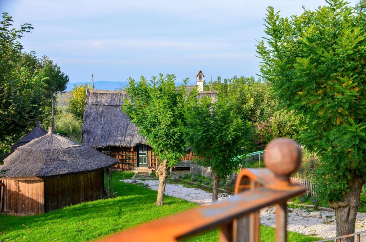 Casele Cu Stuf B&B Haus Ulrike Sălicea 외부 사진