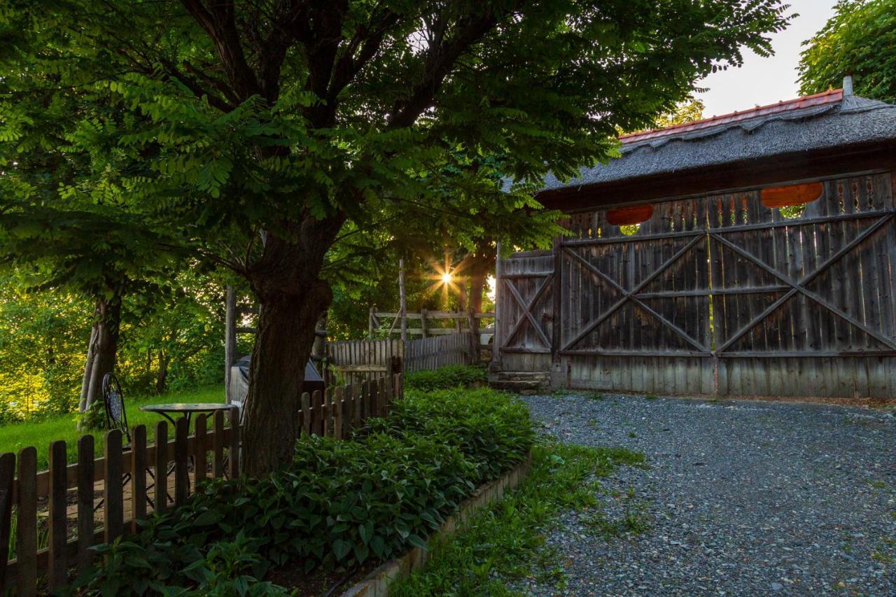 Casele Cu Stuf B&B Haus Ulrike Sălicea 외부 사진