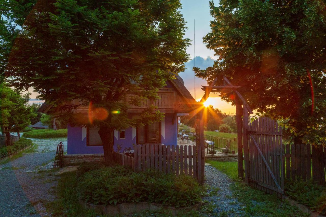 Casele Cu Stuf B&B Haus Ulrike Sălicea 외부 사진