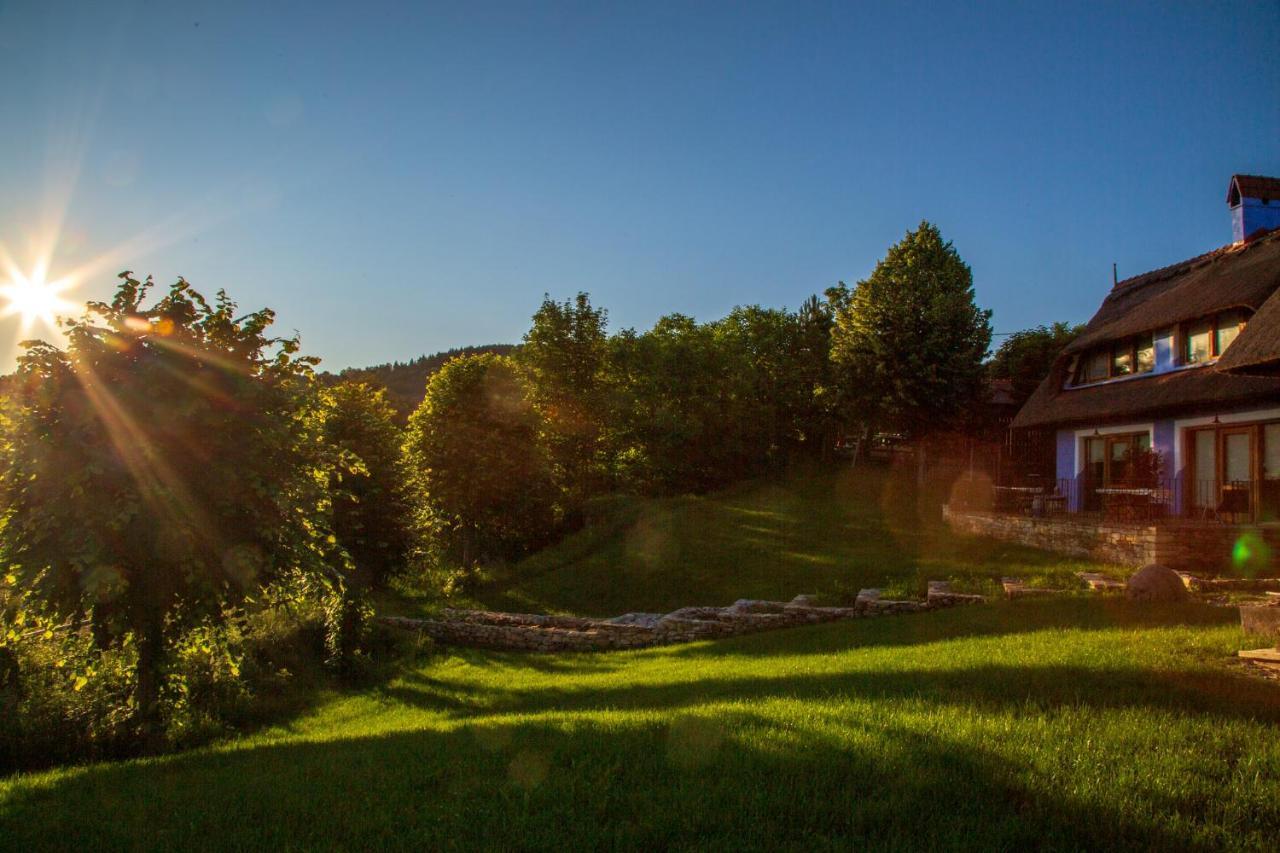 Casele Cu Stuf B&B Haus Ulrike Sălicea 외부 사진